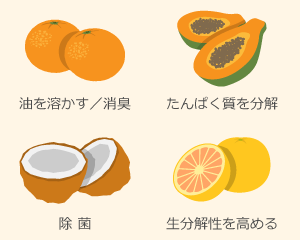 オレンジが油を溶かす/消臭　パパイヤがたんぱく質を分解　ココナッツが除菌　グレープフルーツが生分解性を高める