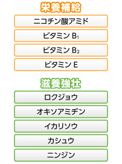 <栄養補給>ニコチン酸アミド・ビタミンB1・ビタミンB2・ビタミンE<滋養強壮>ロクジョウ・オキソアミヂン・イカリソウ・カシュウ・ニンジン