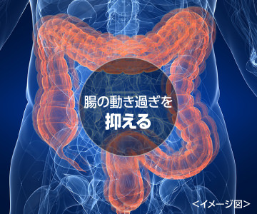 腸の動き過ぎを抑えるイメージ