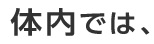 体内では、