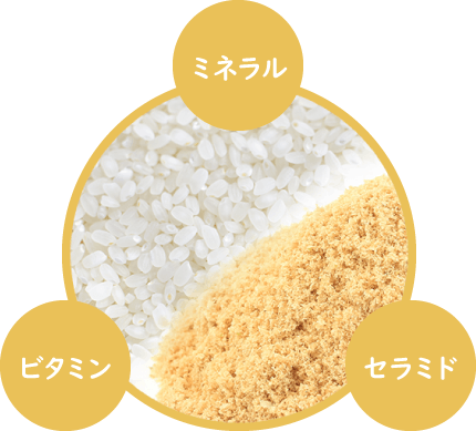 お米と米ぬかにミネラル、ビタミン、セラミドが含まれているイメージ