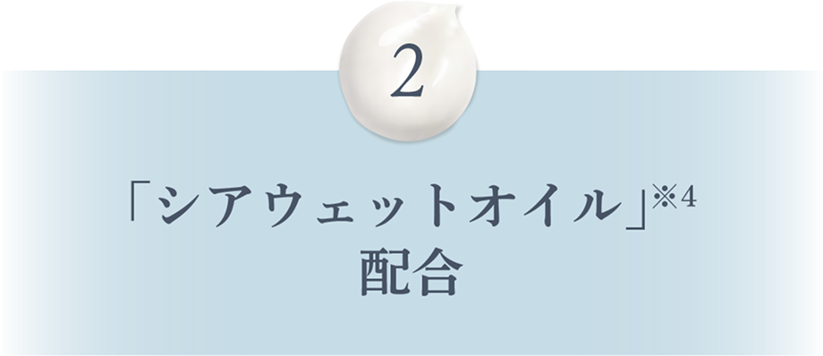 2 「シアウェットオイル」※4配合