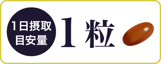 1日摂取目安量 1粒