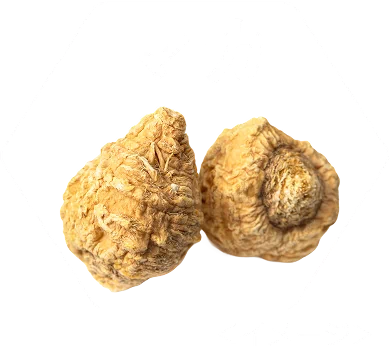マカイメージ画像