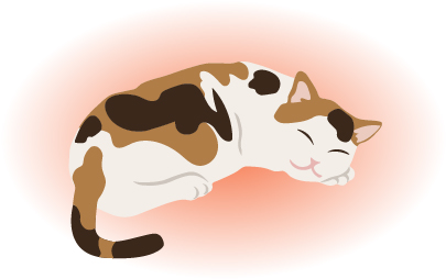 あたたかいところで眠る猫　イラスト