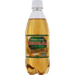 ＮＩＤ ジンジャーエール 500mL