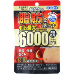 防風通聖散錠ＳＫゴールドＺ５Ｔ 105錠