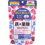 ＮＩＤ かんでおいしいモアインサプリ 鉄＋葉酸 132g（500mg×264粒）