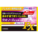 グットノーズＦＸ鼻炎錠 30錠