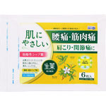 ＮＩＤ ファーマシーパップＥＸ 6枚